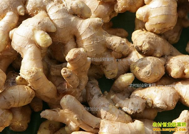 2017���߲˼۸�Ԥ�⣺���������������������۸�Ҫ��