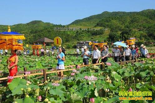 ����ѡ������ũҵ��Ŀ������ũҵ�����������ɫ��