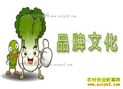 2017�����ʮ��ũҵƷ�ƶ���ɶ