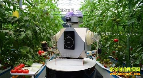 δ��ũ���ʲô��׬Ǯ���ǻ�ũҵ