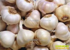 2017�����۸�ר��Ԥ�⼰������ֲ������ʾ