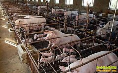 2017����������׬Ǯ��δ�������۸���������������