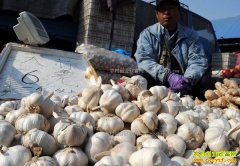 2017�����۸�����Ԥ�⣺����۸��ͦ 5����ۻ��µ�