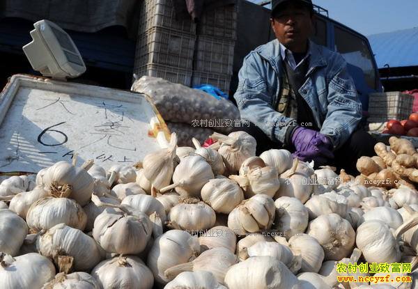 2017�����۸�����Ԥ�⣺����۸��ͦ 5����ۻ��µ�