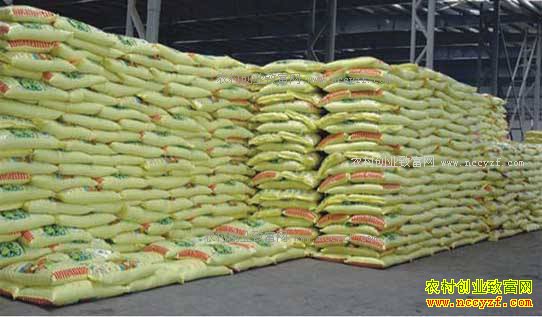 2017�긴�Ϸʼ۸�Ԥ�⣺���׼��Դ���λ�����Ϸ��ǻ��ǵ�