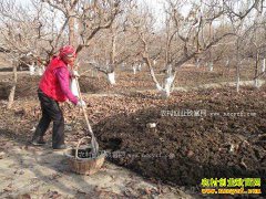 ũ�ҷ�ʩ�þ���֪ʶ�ʴ�