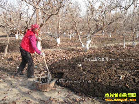 ũ�ҷ�ʩ�þ���֪ʶ�ʴ�