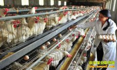 ����ͻȻ������ô�죿