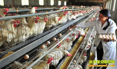 ����������ͻȻ������ô�죿