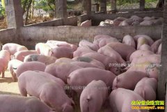 2017��2��ȫ�������۸�����