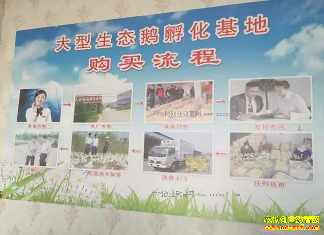 ���ؽ�������թƭƭ�ֲ�ҵ��