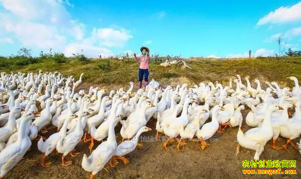 ���ؽ�������թƭƭ�ֲ�ҵ��