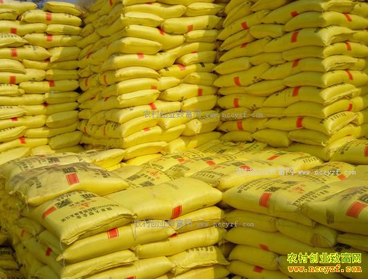 ���ʼ۸����ǡ���ʳ�۸��µ� ũ�����Ӧ��