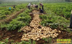 2017�����������������죬��ô�죿