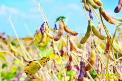 2017���Ŀ��۸��������죬��ô�죿