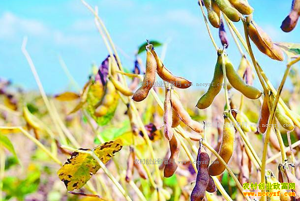 2017���Ŀ��۸��������죬��ô�죿