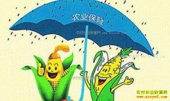 2017��ũҵ���ձ��Ѳ��������죬��ô�죿