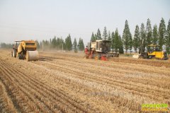 2017��ոѲ��������죬��ô�죿