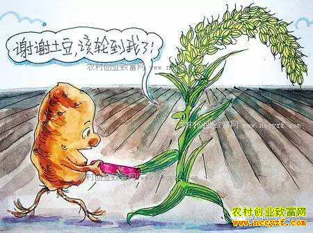 2017�������ݸ�������׼���٣������ݸ����������죬��ô�죿