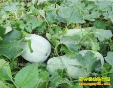 ����ᶼ���ϼ۸���������