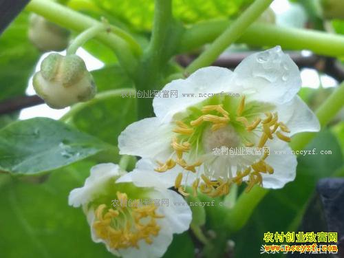 ��̨��⨺��ң�������ܿ�����������Է�������