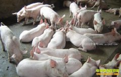 ��������Ǯһ�2017��2��24�������۸��������