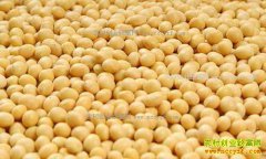 ���մ󶹼۸�2017��2��24�����´󶹼۸���������