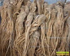 �������Ǯһ�2017��2��24�����µ���۸���������