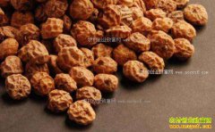 ��ֲ��ɯ��׬Ǯ����ɯ����ֲǰ���ɱ���Ч�����