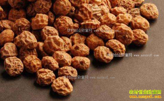 ��ֲ��ɯ��׬Ǯ����ɯ����ֲǰ���ɱ���Ч�����