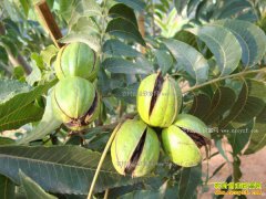 2017�꽭��ʡ�ص������Щũ���¸���Ŀ��