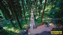 2017���Ĵ�ʡ�ص������Щũ���¸���Ŀ��