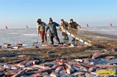 2017������ʡ�ص������Щũ���¸���Ŀ��