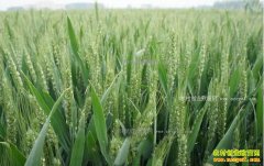 2017�����ʡ�ص������Щũ���¸���Ŀ��