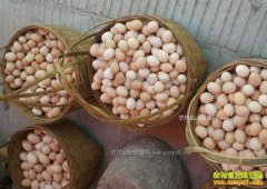 �ӱ������۸�����Ԥ�⣺�ȷ������۸�1��2.78Ԫ δ���۸��ȶ�