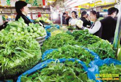 2017年蔬菜价格持续走低 谨防菜贱伤农