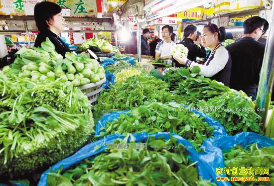 2017���߲˼۸�����ߵ� �����˼���ũ