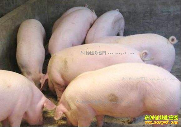 2017��3�������۸�Ԥ�⣺��������������Դƫ�� ���������ȶ�