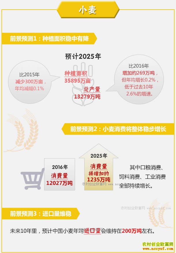 ũҵ����δ��ʮ��С����ֲǰ����С���г��۸�����Ԥ��