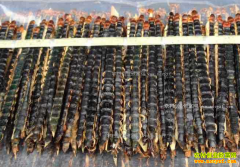 ������Ǯһ����2017��3��1���������۸�����