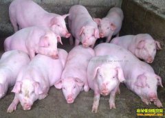 2017��3�������۸�Ԥ�⣺��Ӧ����ƫ�� 3�����۽�����