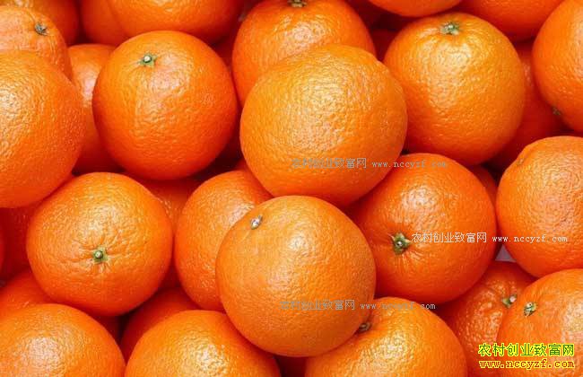 2017����ټ۸����飺������ˮ���۸����� �������ǿռ�