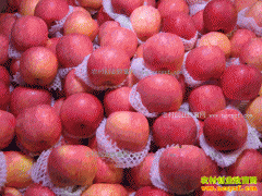 2017��ƻ���г����飺����ƻ���۸����� �۸��ܷ������