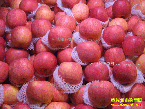 2017��ƻ���г����飺����ƻ���۸����� �۸��ܷ������