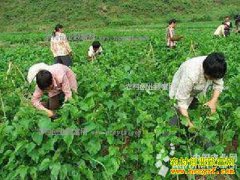 ����¹կ����ɣ��ɣ�ϳ�ũ���¸�����Ŀ