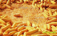 �������׼۸���������δ���������׼۸�����Ԥ��