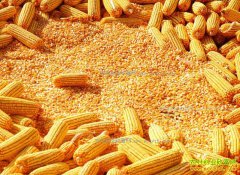 2017�����׼۸�����Ԥ�⣺���������г���ӭ��ת��