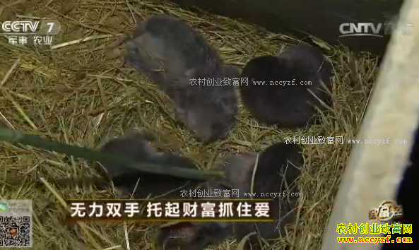 [�¸���]���Ͻ����غ���ƽ��ֳ��������Ƹ�ץס��