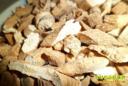 ����������Ǯһ�2017�����°������۸�����