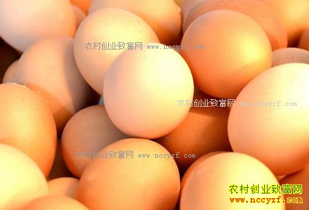 �������ݼ����۸�������������